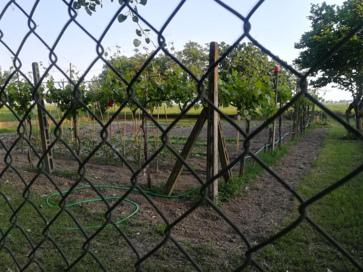 B&B Tenuta Madiba Ravenna Luaran gambar